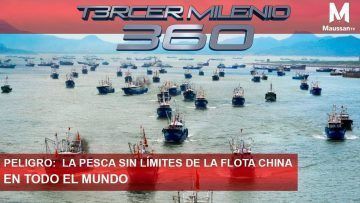 PELIGRO-La-Pesca-sin-limites-de-la-flota-China-en-todo-el-mundo.
