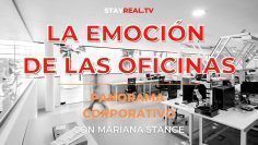 EMOCIONES-Y-OFICINAS-PANORAMA-CORPORATIVO