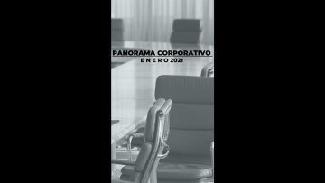 PANORAMA-CORPORATIVO