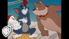 Tom-y-Jerry-en-Latino-Compilación-clásica-de-dibujos-animados-Tom-Jerry-y-Spike-WB-Kids