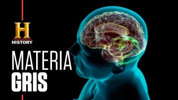 INEXPLICABLE-–-El-cerebro