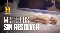 LAS-MOMIAS-DE-NAZCA-–-Las-investigaciones-en-Perú