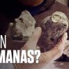 LAS-MOMIAS-DE-NAZCA-–-Otra-especie