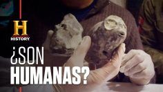 LAS-MOMIAS-DE-NAZCA-–-Otra-especie