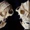 7-Craneos-Mas-Aterradores-Descubiertos-en-El-Mundo.