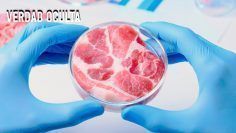 CARNE-SINTETICA-CREADA-EN-LABORATORIO-PRONTO-EN-NUESTROS-SUPERMERCADOS