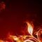 TERAPIA HOT