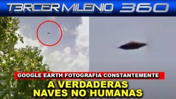 Grave-sancion-a-Mexico-por-no-evitar-la-extincion-de-la-Vaquita-Marina-vergonzoso