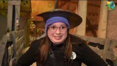 LOROS-PARLANTES-DESDE-COLON-FABRICA