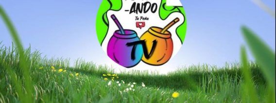 Mateando-